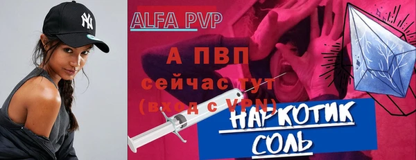 индика Нязепетровск