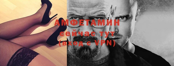 индика Нязепетровск