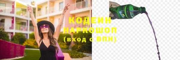 индика Нязепетровск