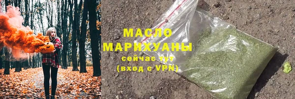 индика Нязепетровск