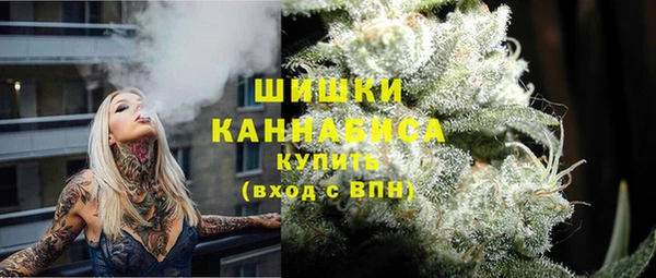 индика Нязепетровск