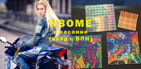 индика Нязепетровск