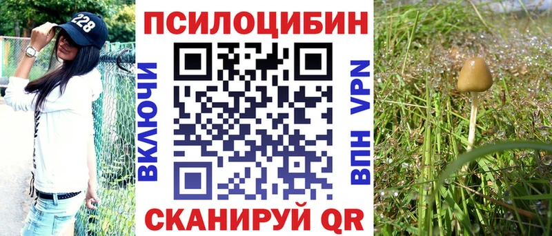 продажа наркотиков  Заполярный  сайты даркнета наркотические препараты  Галлюциногенные грибы Magic Shrooms 
